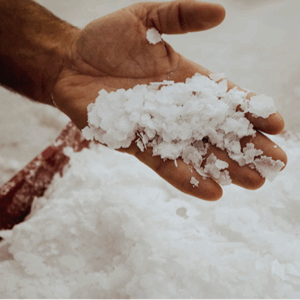 Delikatessen/Würzmittel & Öle/Gewürze